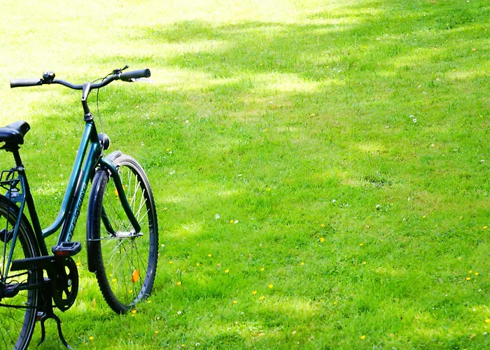 Brandies Gmbh Hotel 3*